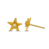 Star Earrings